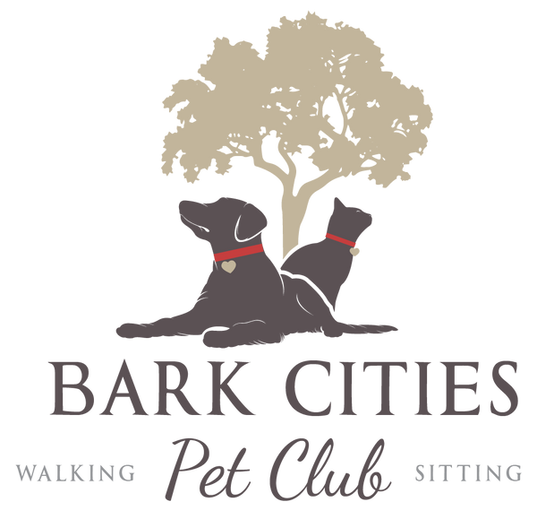 Bark Cities